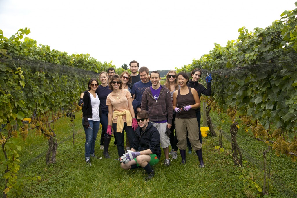 Our merry band of pickers: We are taking additional assignments, so feel free to contact us!