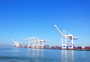 The cranes in the San Francisco Bay that I've always thought looked like dinosaurs