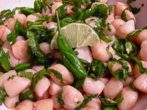 Scallop ceviche with shisito and shiso