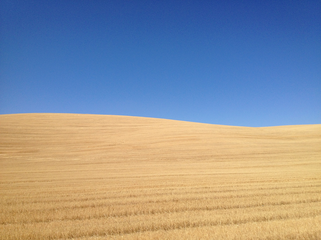 The view on either side of the highway for miles on Route 12